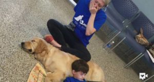 Amazing moment when boy meets his service dog