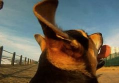 Johnny Neon ‘Hearts’