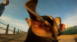 Johnny Neon ‘Hearts’