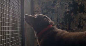 A place that feels like home