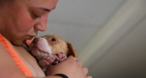 Homeless and pregnant… Rozie’s rescue.