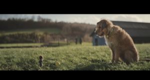 Dogs Trust ‘That Special Someone’