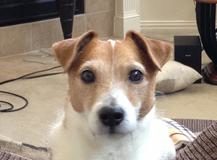 Gambit, We Love You Very Much