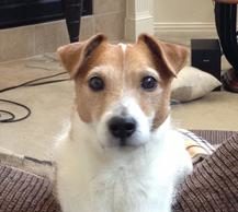 Gambit, We Love You Very Much