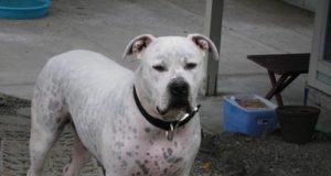 l Miss You, Boy! My Sweet Mr Baby!