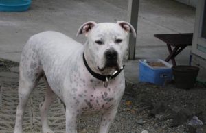 l Miss You, Boy! My Sweet Mr Baby!