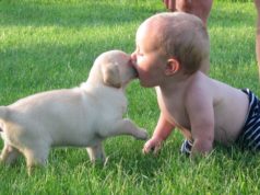 Puppies and Babies