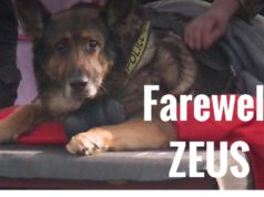 Good bye fellow officer