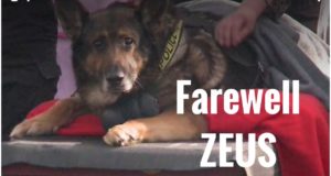 Good bye fellow officer