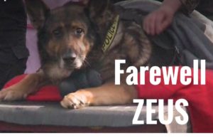 Good bye fellow officer