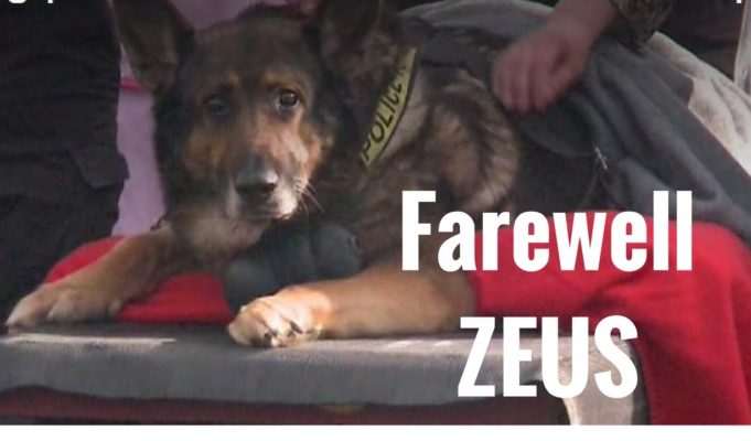 Good bye fellow officer