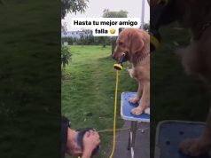 Even your best friend can fail you